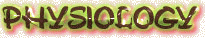 physio.JPG (9130 bytes)